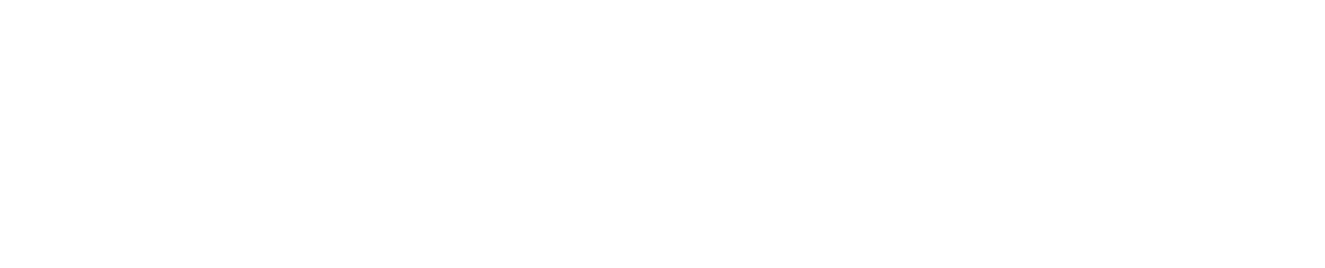 Nets (Nexi)